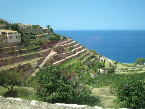 Mallorca 0078.jpg   30kb   26.03.2021 22:38:47